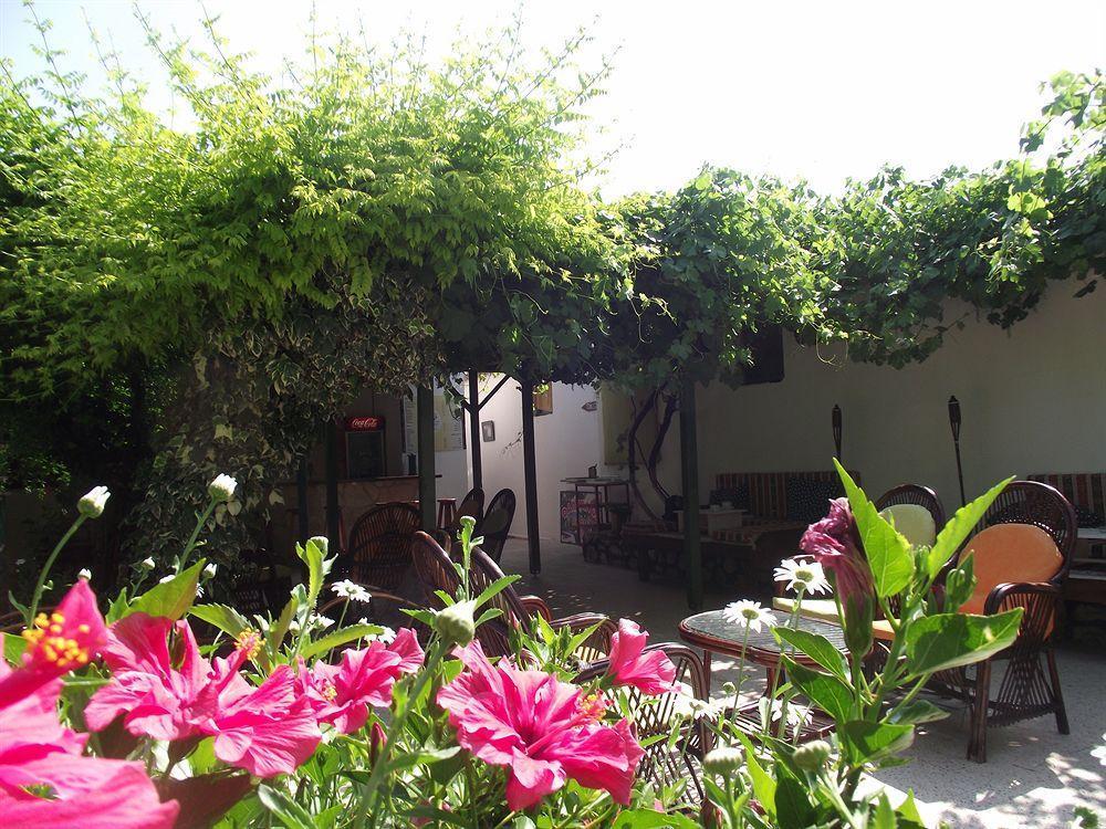 Dardanos Hotel Gelemiş Esterno foto