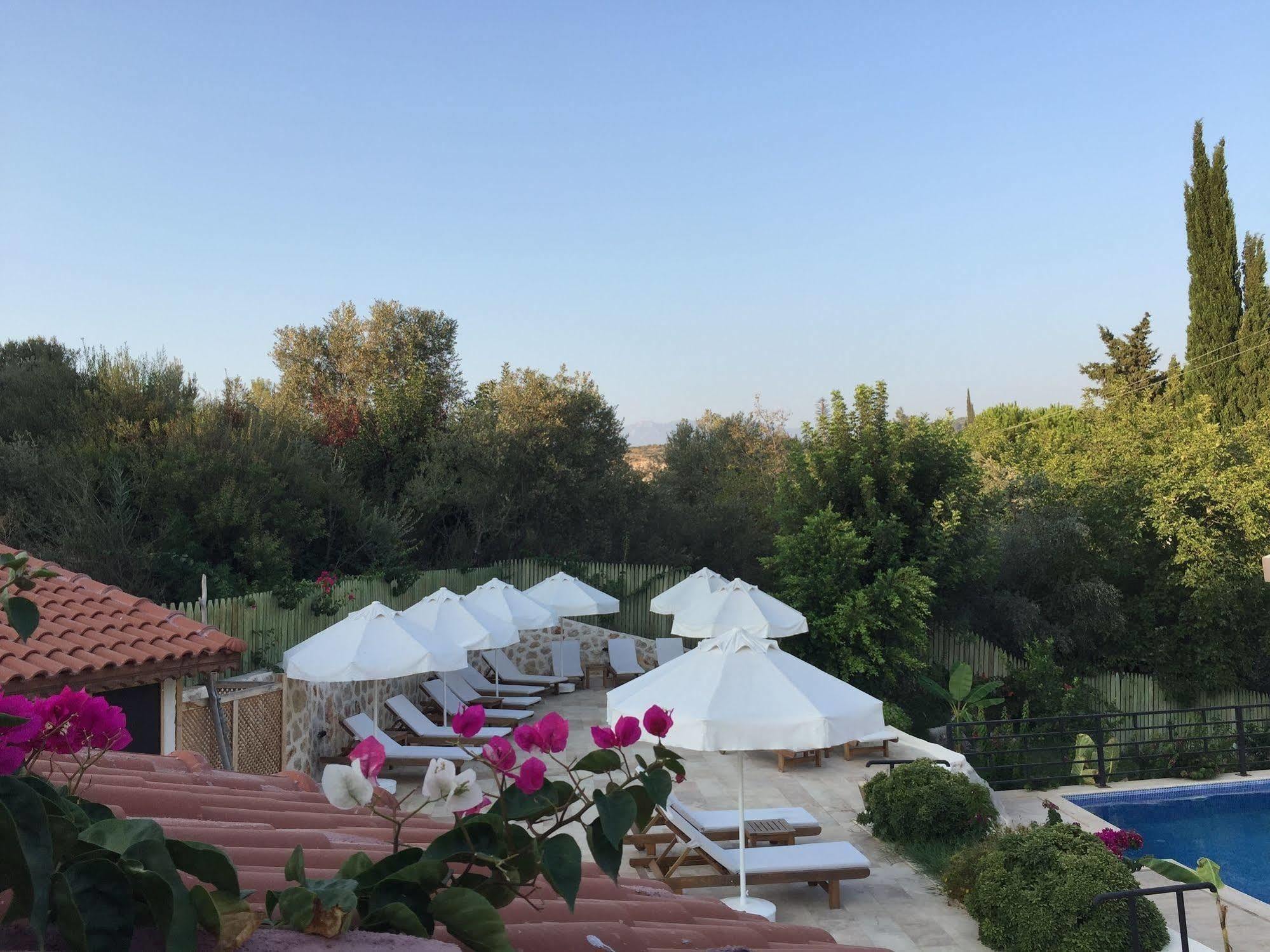 Dardanos Hotel Gelemiş Esterno foto