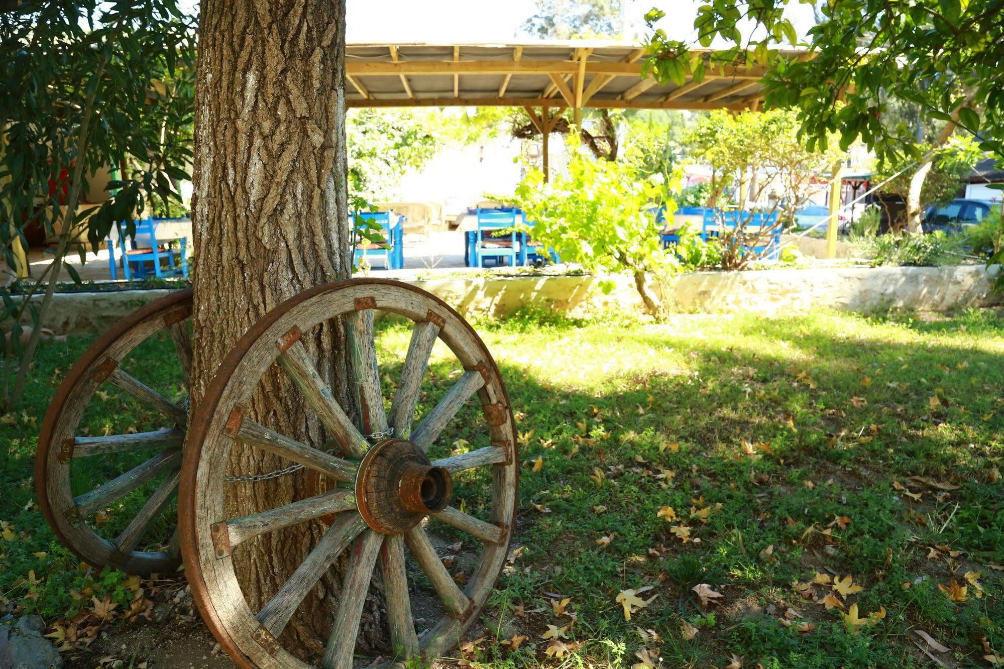 Dardanos Hotel Gelemiş Esterno foto