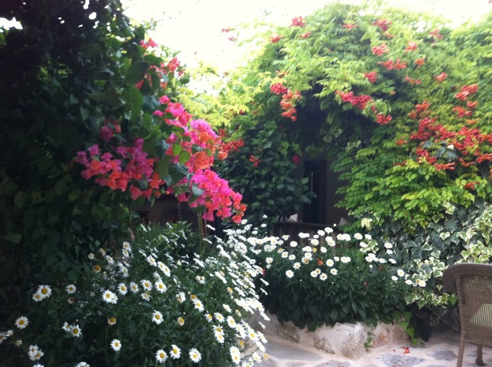 Dardanos Hotel Gelemiş Esterno foto